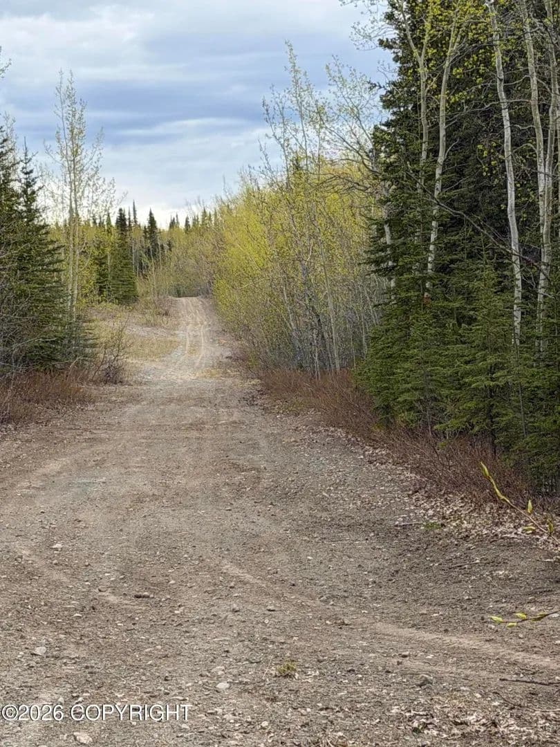 19.21 Acres of Land for Sale in Copper Center, Alaska - Copper Center, Alaska, 99573