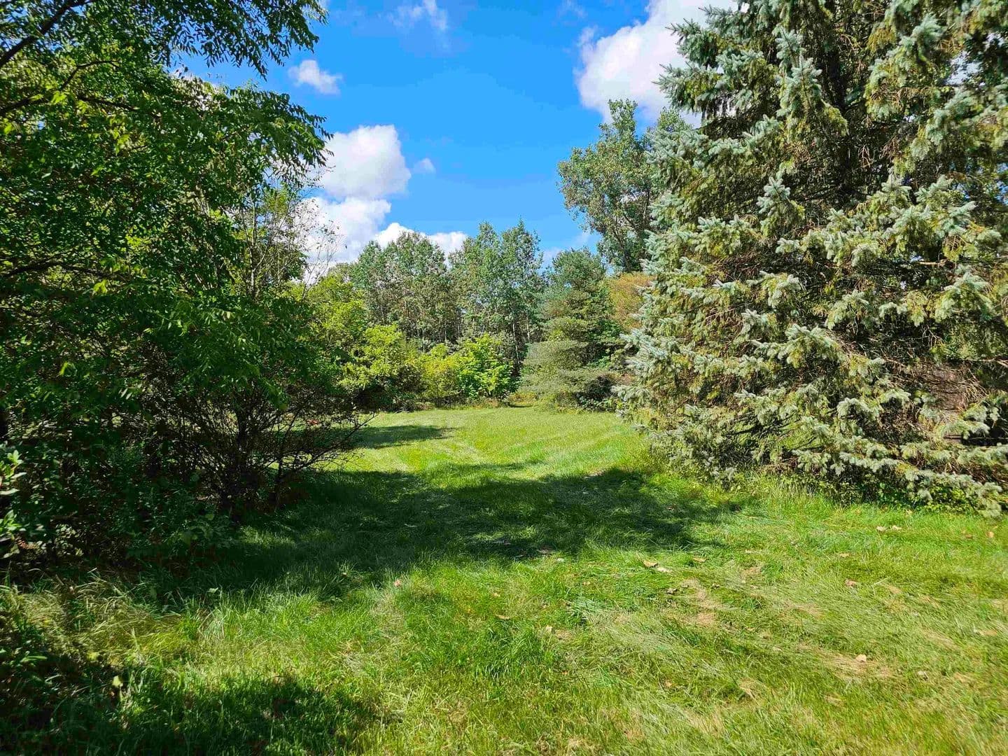 4.8 Acres of Land for Sale in Perry, MI - land for sale