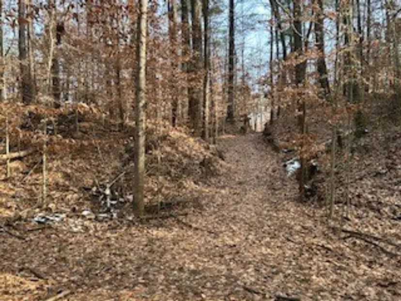 Land For Sale in Owen County, IN 11 Acres +/-