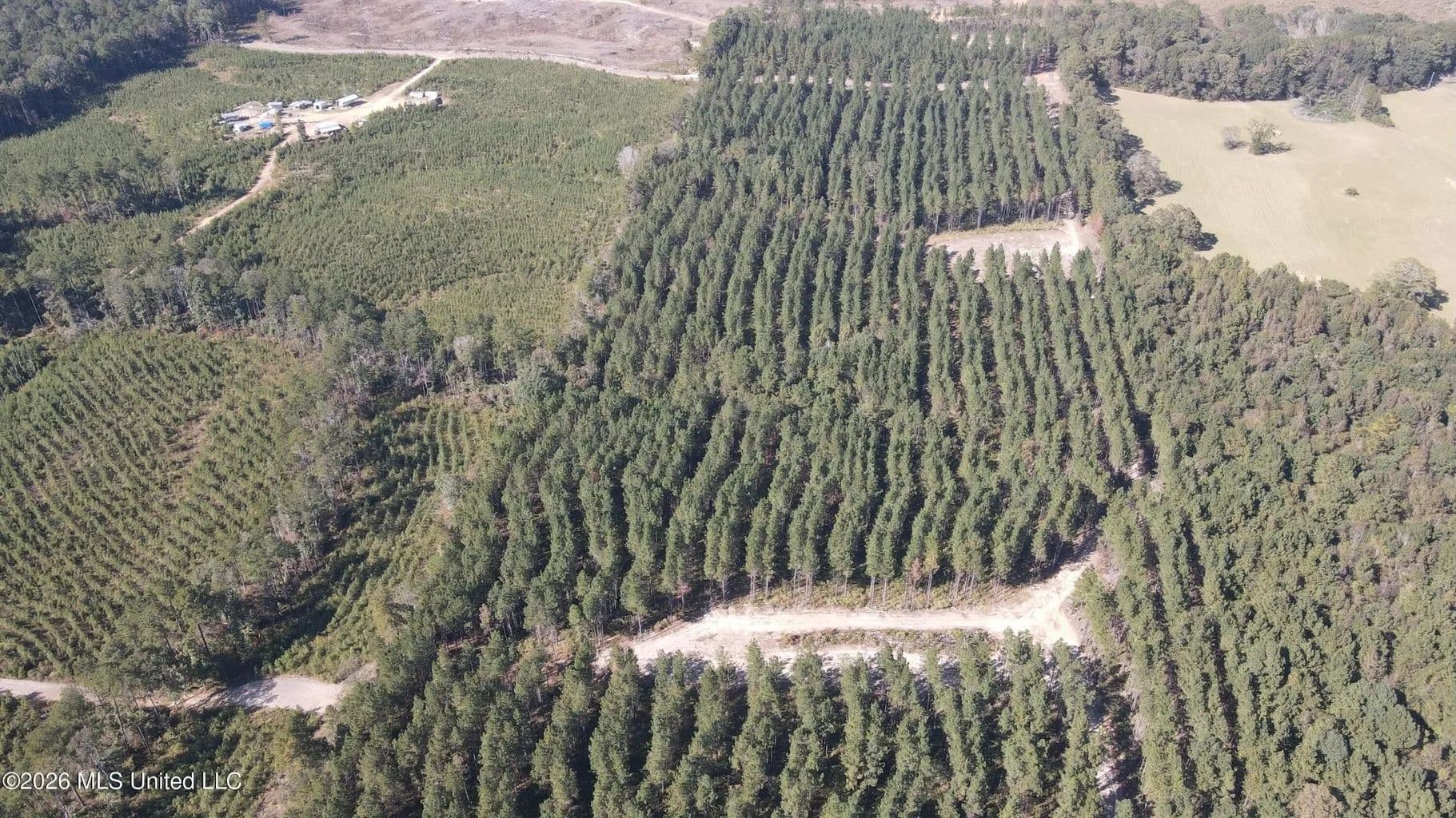 35 Acres for Sale in Pelahatchie, MS | Rankin County - Pelahatchie, Mississippi, 39145