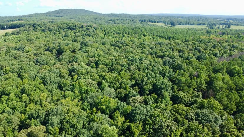 128 +/- Acres in Carroll County