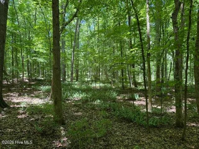 0.99 Acres of Land for Sale in Eatonton, Georgia - Eatonton, Georgia, 31024