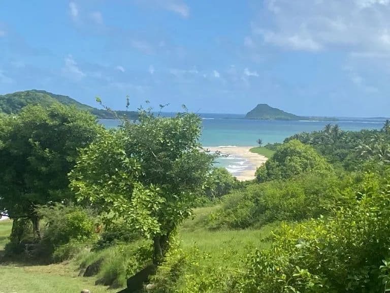 Vacant Land in St Patrick - land for sale