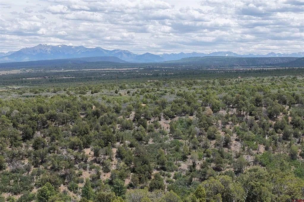 Property from Unassigned Juniper Drive (42.2Y Road) - KW - Norwood, Colorado, 81423