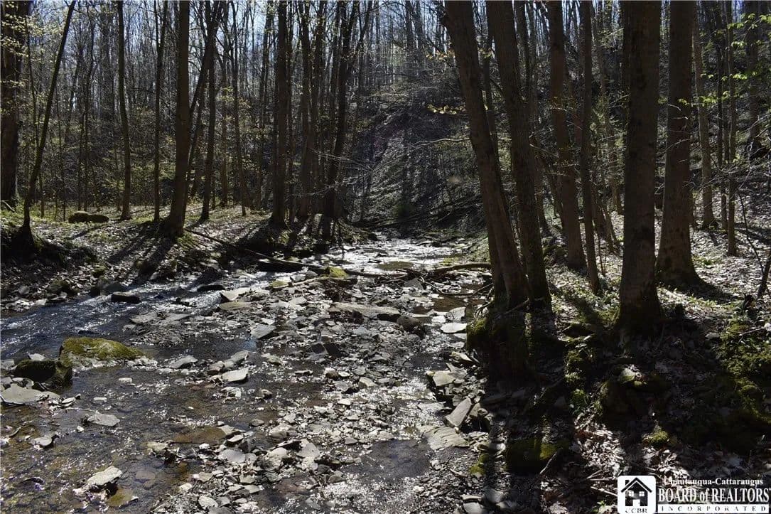 Property from 0 Fuller Gulf Road - KW - Cherry Creek, New York, 14723