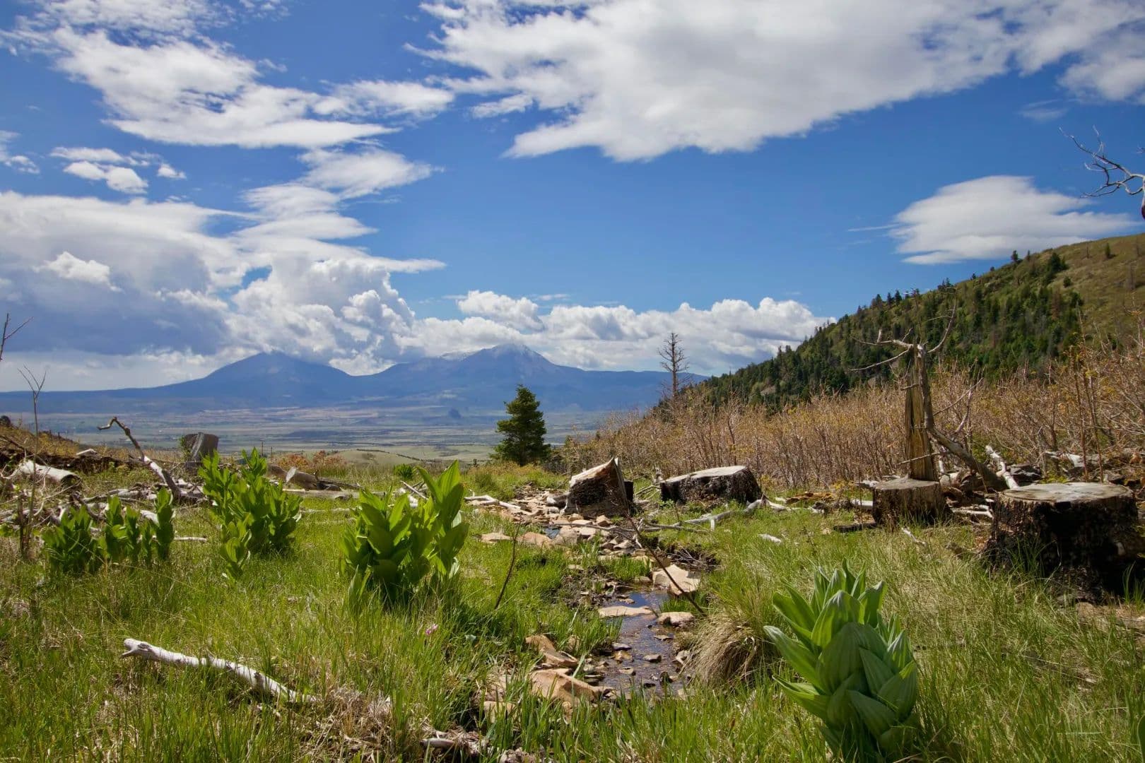 Tres Valles West #36, LaVeta, CO 81055 - La Veta, Colorado, 81055
