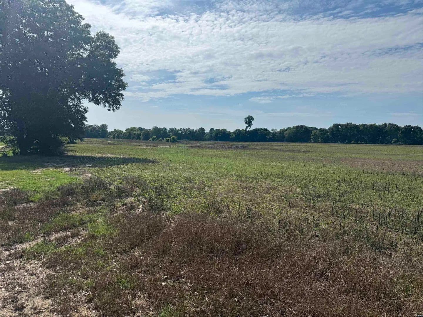 Property from Pierce Road - KW - Union City, Tennessee, 38261