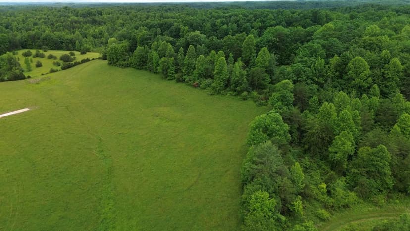 Property from 4135 Big Andy Ridge Road #Tract 4 - KW