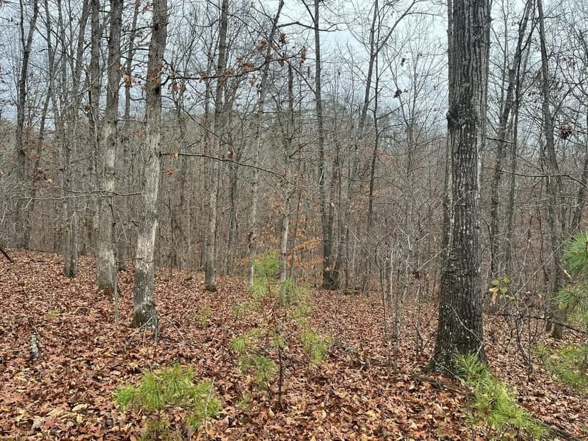 58 Acre Wildlife Retreat