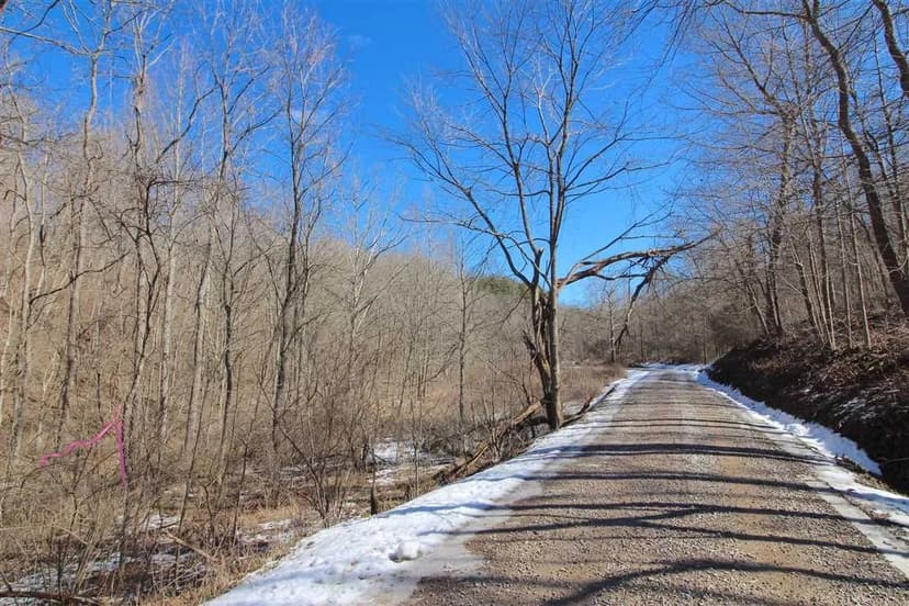 Coon Run Rd - 50 acres - Washington County
