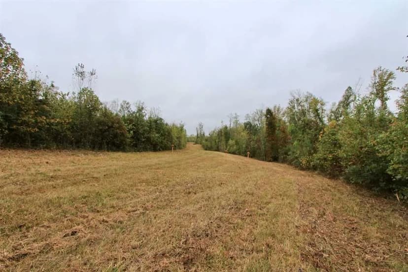 60+/- Acres in Pleasant Garden, Guilford County