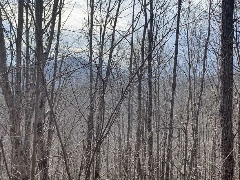 5.13+/- acres in Marion, McDowell County