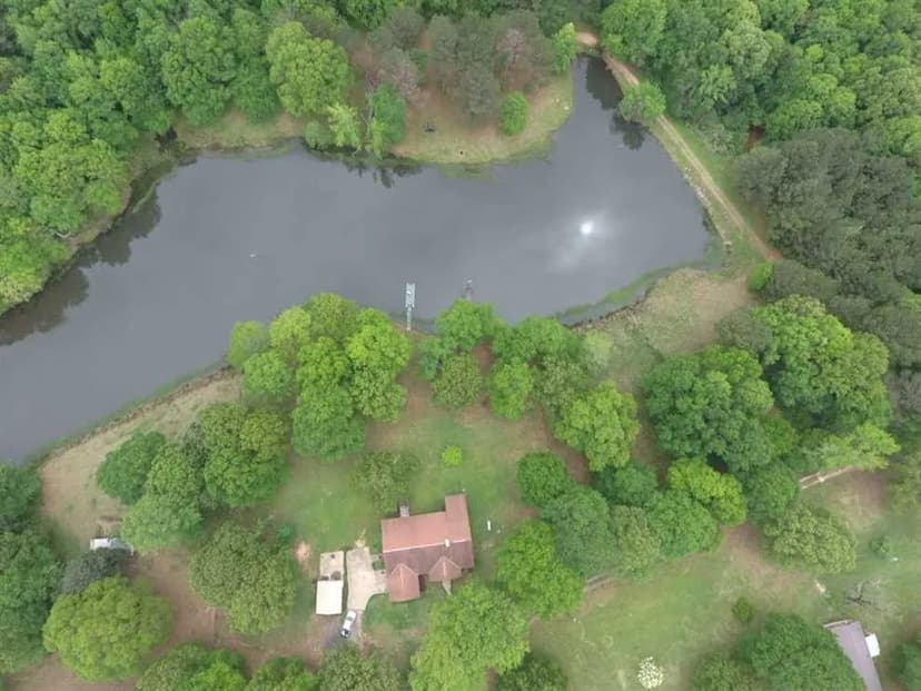 Excellent hunting and timber farm in Greene County, AL with house and lake containing 144+/- acres