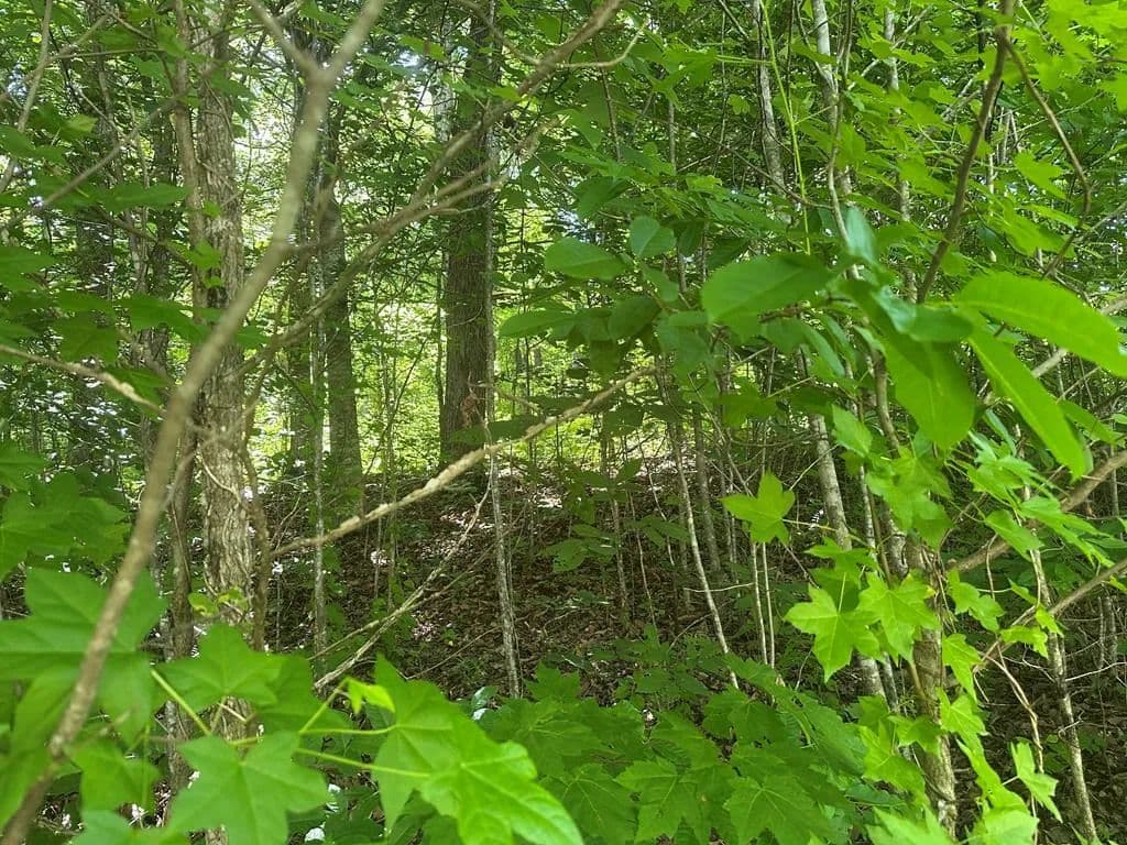 Property from Lot 13 Lot 13 Apache Rd - KW - Jamestown, Tennessee, 38556