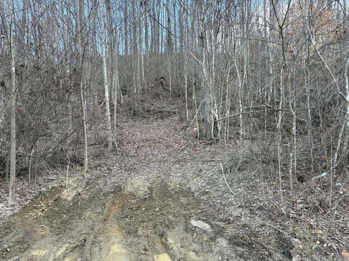 Property from 1251 Sarvice Hollow Road - KW - Irvine, Kentucky, 40336
