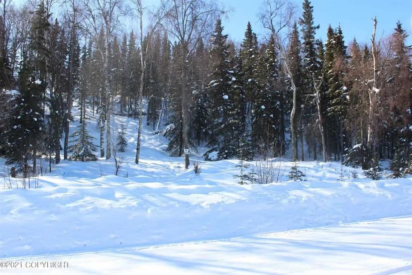 1.33 acres in Kasilof near the river