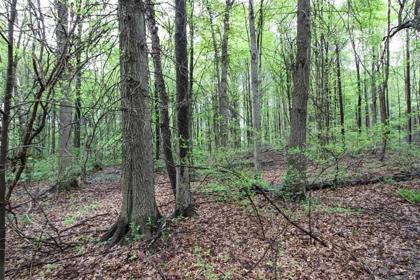 Sodom Hutchings Rd - 10 acres - Trumbull County