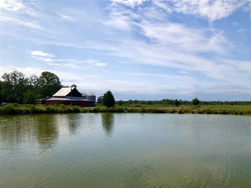 Farm w/pond, fields, & woods