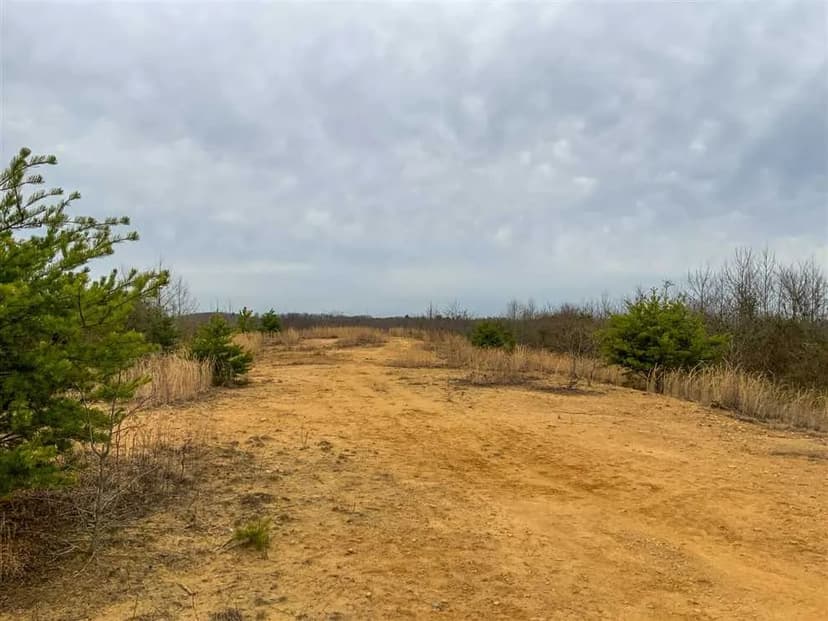 Lick Run Lyra Rd - 43 acres - Scioto County