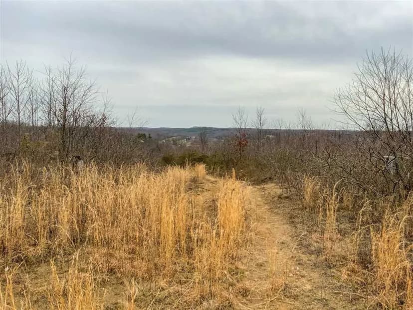 Lick Run Lyra Rd - 75 acres - Scioto County