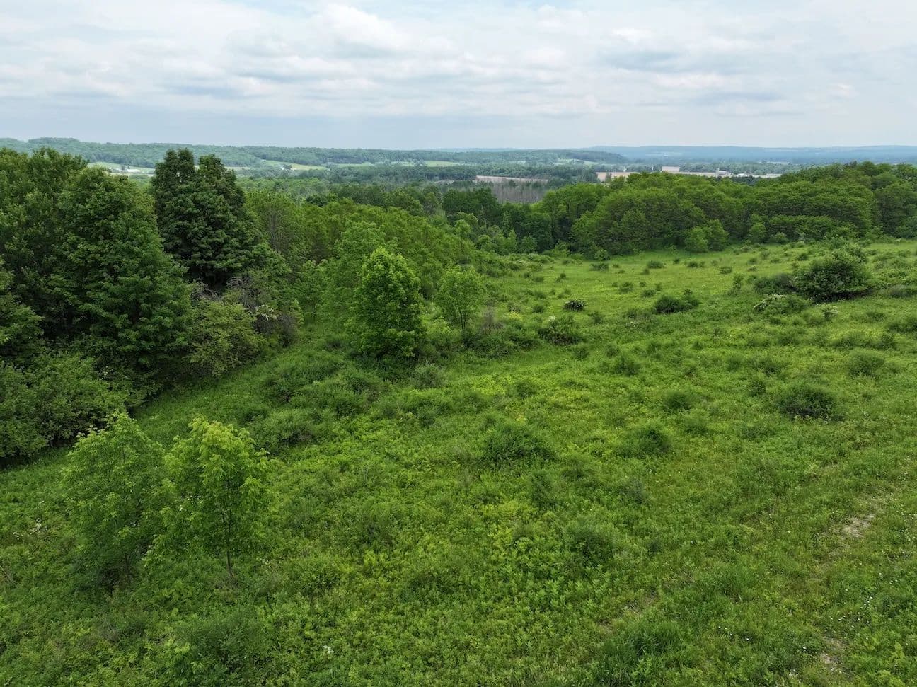 23 acres Hunting Land and Recreational Land with Building Lot in South Dayton NY Dye Road - South Dayton, New York, 14138