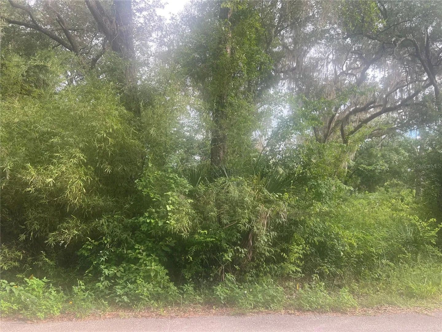 0.95 Acres of Land for Sale in Silver Springs, Florida - land for sale