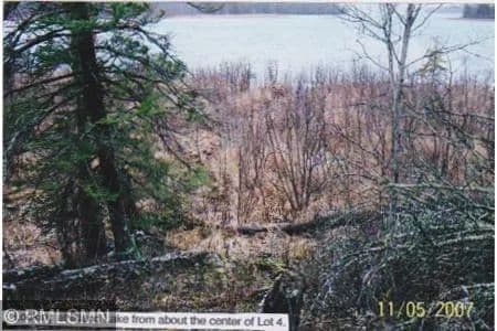 Property from 4xxxx Moose Bay Trail - KW - Northome, Minnesota, 56661