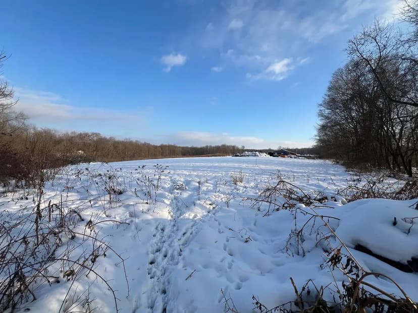 50 +/- Acre Farm 10734 Laird RD