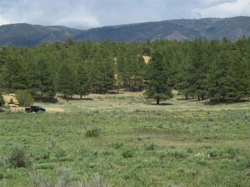 Rancho de Los Ponderosa - 153 acres