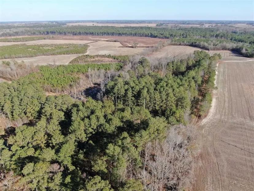 UNDER CONTRACT!! 256 Acres of Timber and Hunting Land For Sale in Robeson County NC!