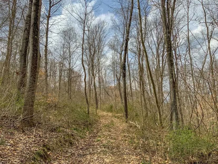 Goose Creek Rd - 28 acres - Vinton County