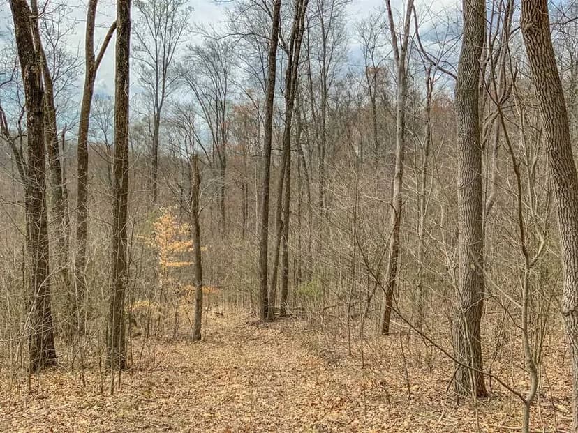 Goose Creek Rd - 24 acres - Vinton County