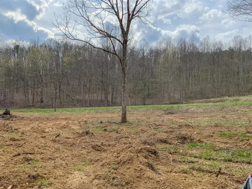 Goose Creek Rd - 80 acres - Vinton County
