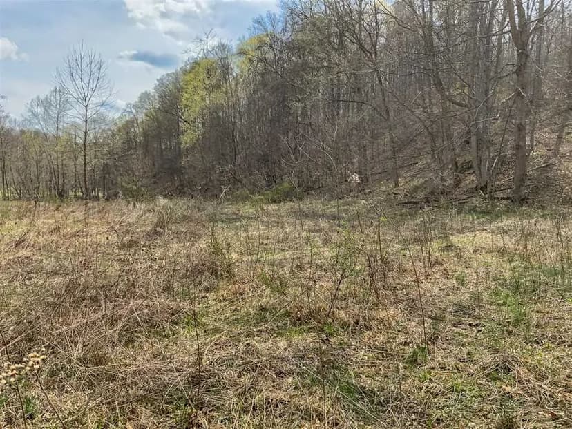 Bray Hollow - 95 acres - Vinton County