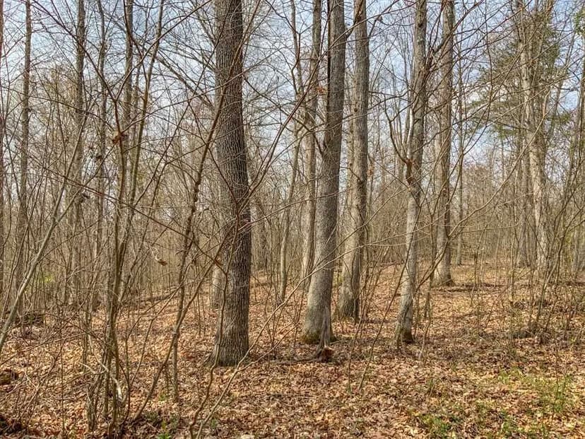 Goose Creek Rd - North 45 acres - Vinton County