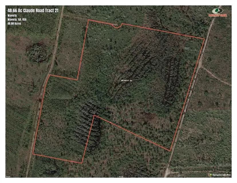 48.66 Ac Land for Sale Claude Rd Camden County, GA