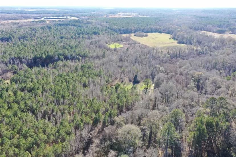 17 acre Prattville home site!