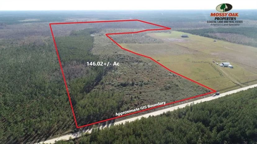146+/- Acres Recreational Hunting Tract for Sale in Ware County, GA