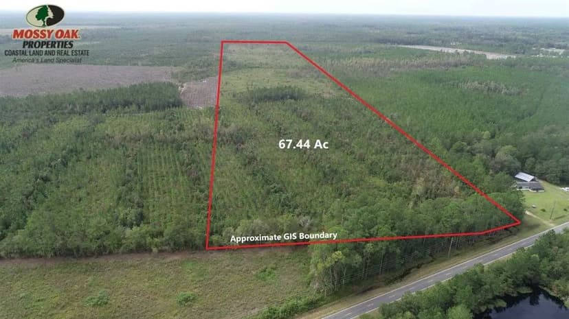 67.44 Acres Land for Sale in Brantley County, GA