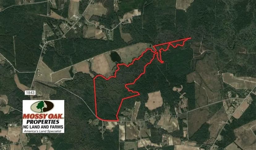UNDER CONTRACT!! 172.7 Acres of Hunting and Timber Land For Sale in Columbus County NC!
