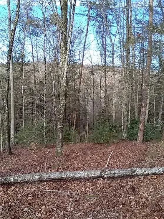 26 Plus Acres with Creek, Meadow, View