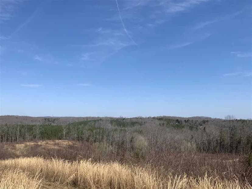 75+/- Acres in Thomasville, Davidson County