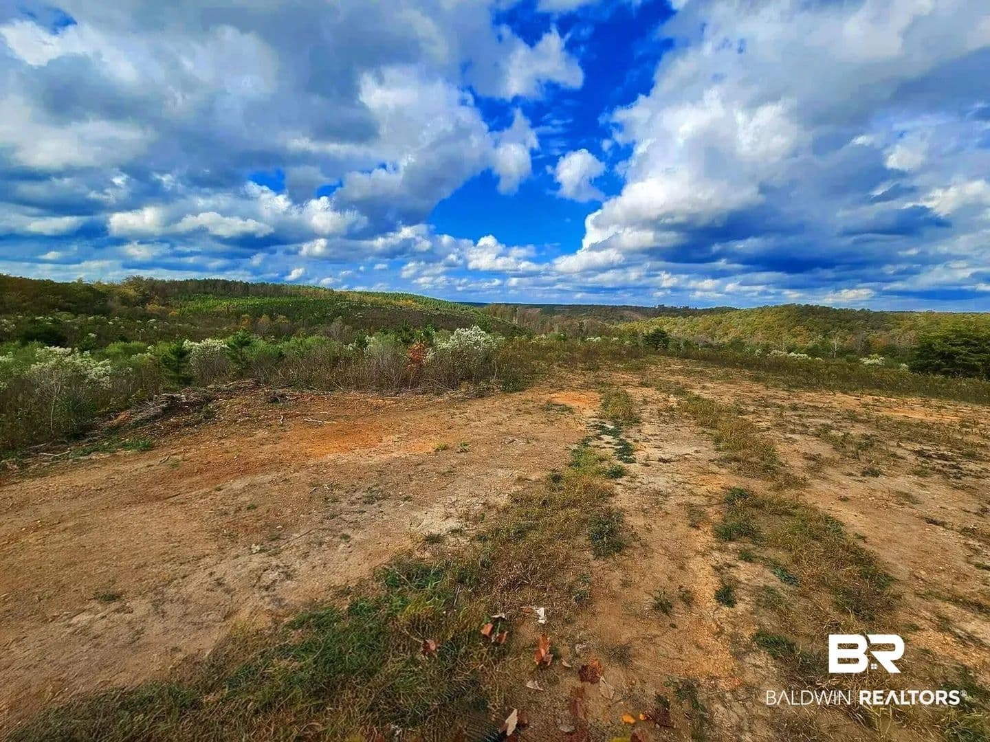 Lots & Land-Other in Waterloo - Waterloo, Alabama, 36577