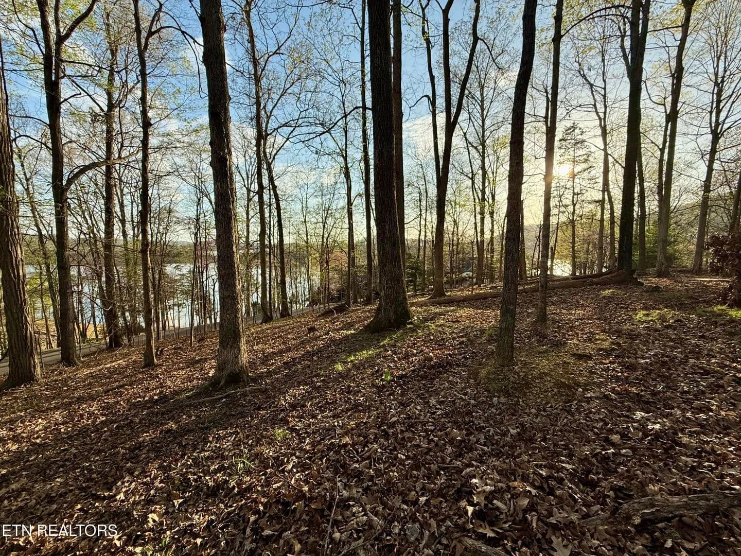 2.51 Acres of Land for Sale in Mooresburg, TN - Mooresburg, Tennessee, 37811