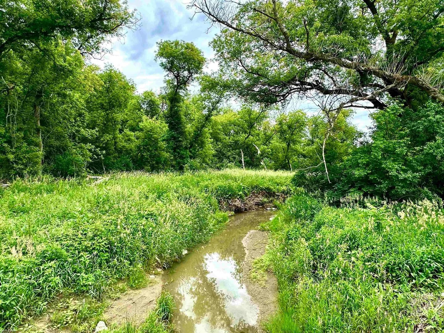 Property from VL BRAIDWOOD PARCEL 3 - KW - Riley, Michigan, 48041