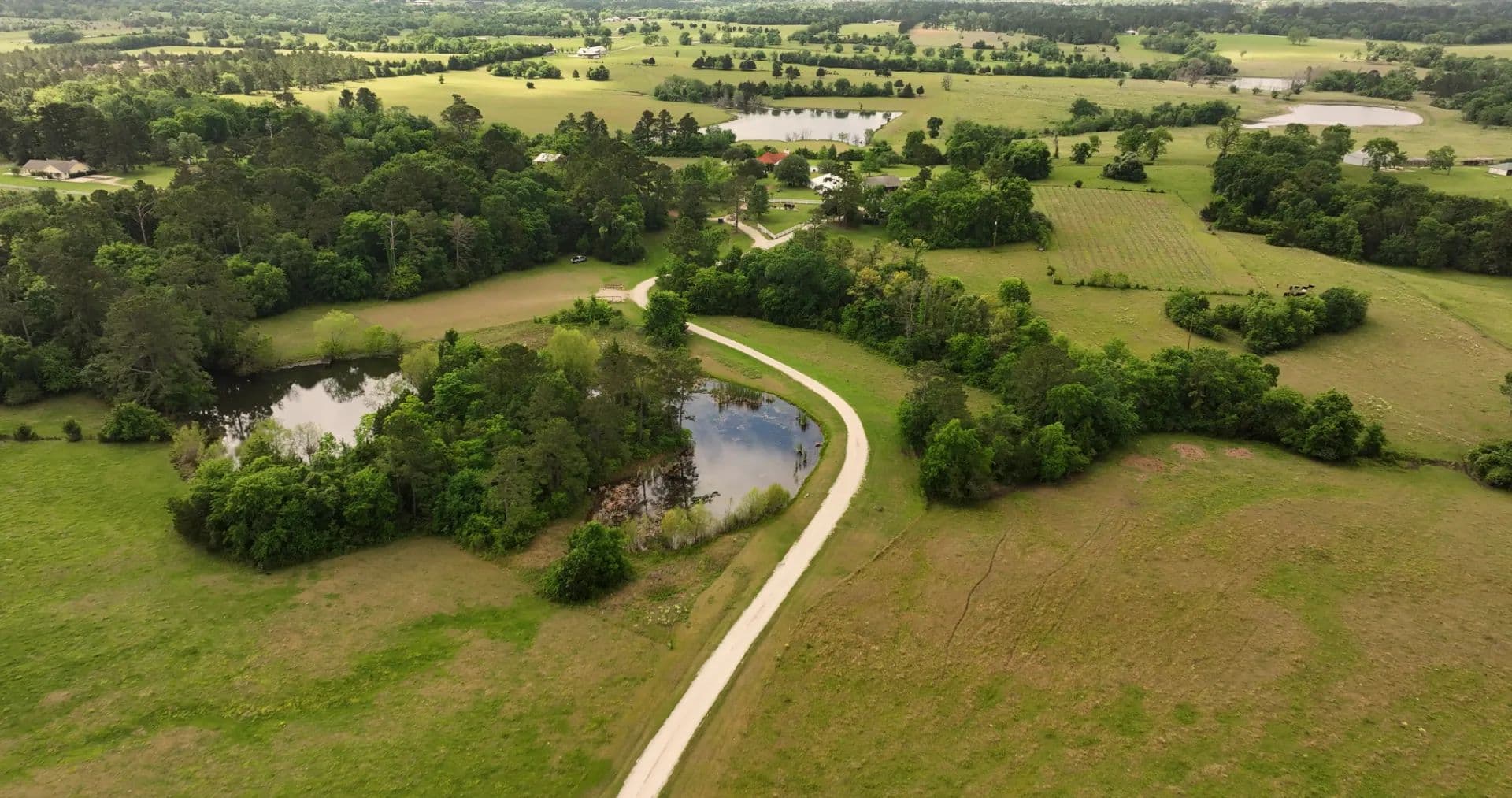 Tosca Farm - New Waverly, Texas, 77358