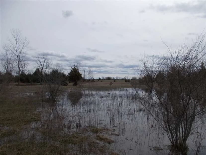 For Sale Universal 36 Acres