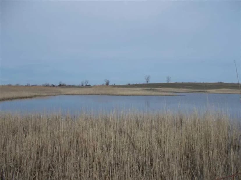 For Sale Universal 38 Acres