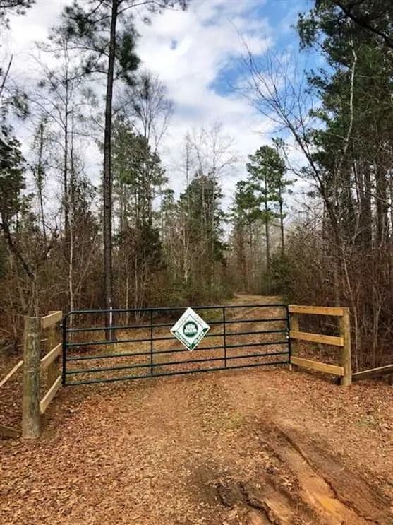 110 acre Hunting and Recreational Property