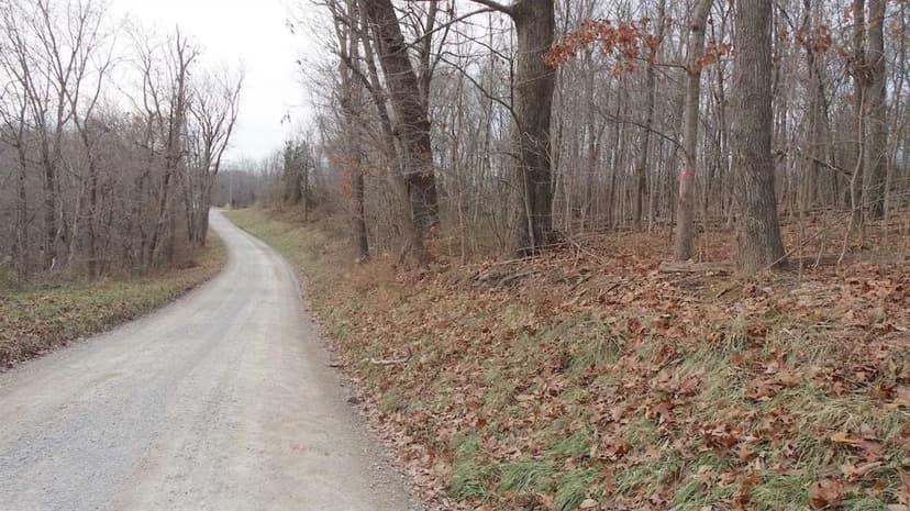 TR 124 - 61 acres - Perry County